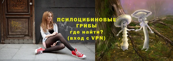 прущий лед Белокуриха